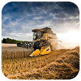 Wheat Harvester Puzzle icon