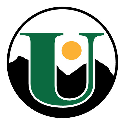 Union Wireless logo