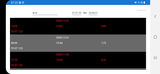 Fuhrbericht Report Screen 3