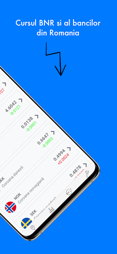 Currency exchange - Romania Screen 2