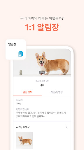 헬로티피 - 선생님이 전하는 우리아이소식 Screen 3