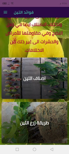 فوائد التين