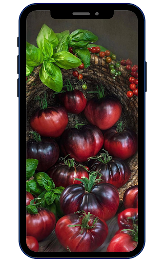 Android application Tomato Wallpapers screenshort