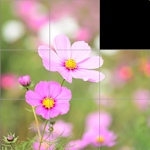 Cover Image of Download Flower Slide Puzzle  APK