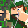 download Robin Hood Skin for Minecraft apk