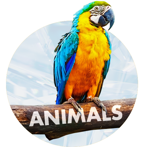 Wallpapers with Animals in 4K 1.4.3 Icon