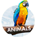 Baixar Wallpapers with Animals in 4K Instalar Mais recente APK Downloader