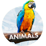 Wallpapers with Animals in 4K Apk