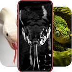 Cover Image of Download Snake Images | Cobra Pictures  APK