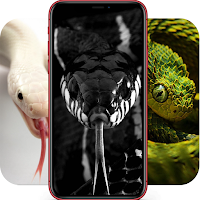 Snake Images | Cobra Pictures