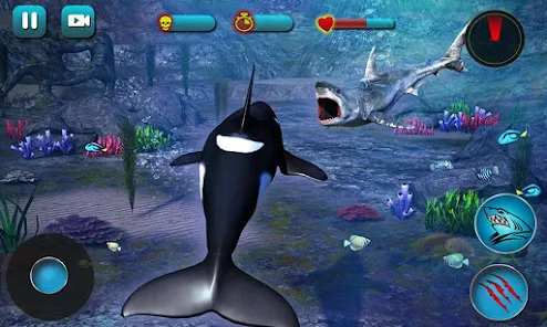 GET THIS FREE *SPECIAL EFFECTS* HUNGRY ORCA ITEM 🤩🤑 PRIME GAMING 