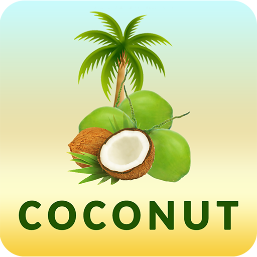 Coconut  Icon