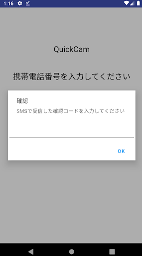 QuickCam Screen 2
