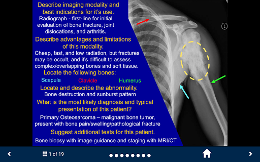 Basic Radiology - SecondLook Screen 2