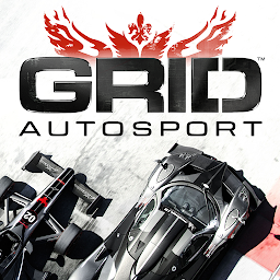 Imaginea pictogramei GRID™ Autosport