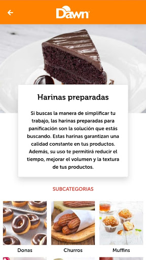 Dawn LATAM Screen 2