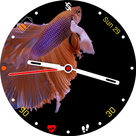 BFF24 - Animation Siames Fish screenshot 18