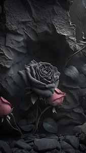 Black Rose Wallpaper HD 4K