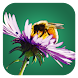 Bienenpflanzen - Androidアプリ