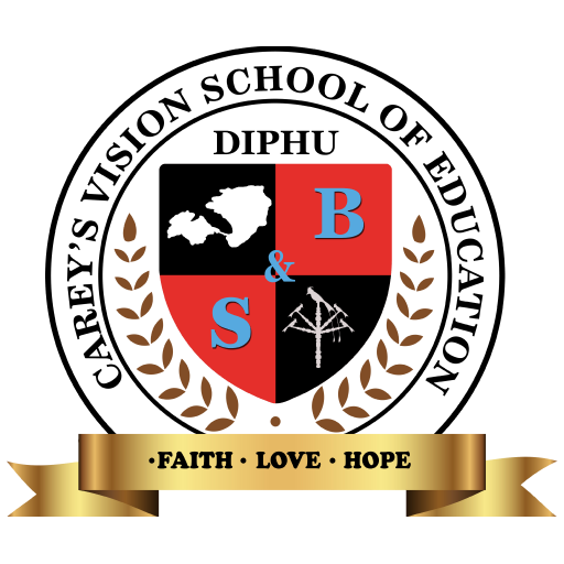 Careys Vision School logo