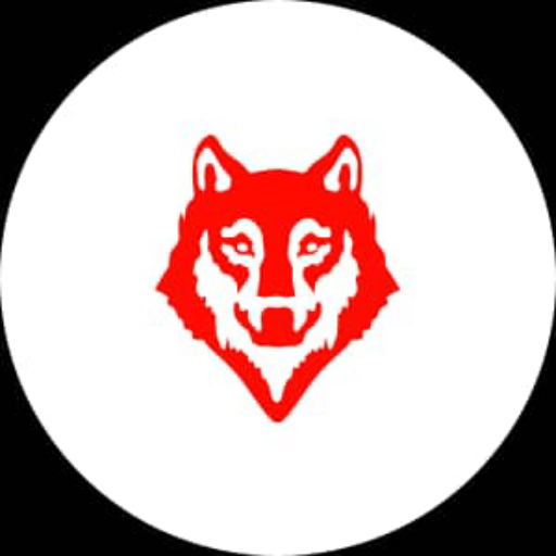 Video Viral logo