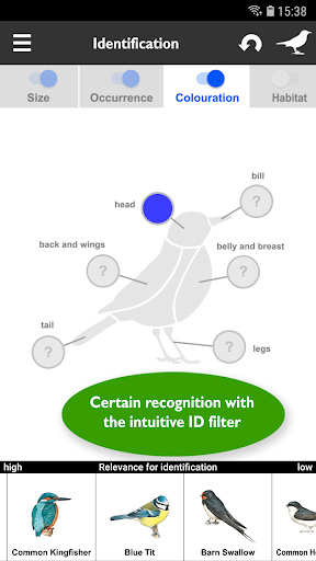 Birds of Europe: Identificatio Screen 3