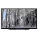 Winter on Chromecast - Androidアプリ