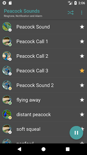 Peacock Sounds Screen 2