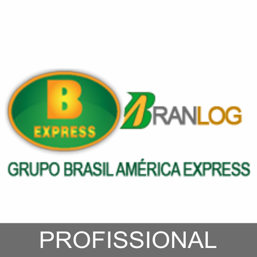 Branlog - Profissional logo