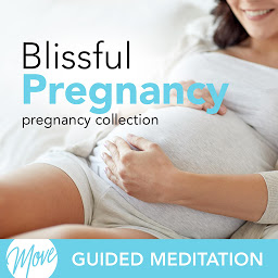 Icon image Blissful Pregnancy