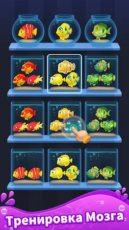 Game screenshot Сортировка рыбы 3D hack
