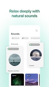 Meditopia 5