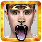 Animal Faces - Photo Morphing icon