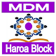 MDM, Haroa Block Descarga en Windows