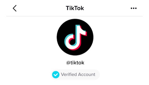 Tiktok - Followers Cheat