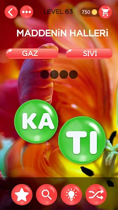 Kelime Şöleni: Kelime Oyunu - Screenshot 4