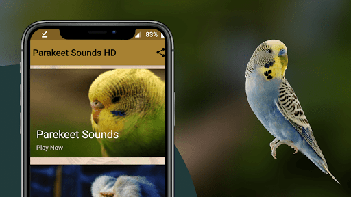 Parakeet Sounds Screen 2
