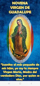 Novena Virgen de Guadalupe