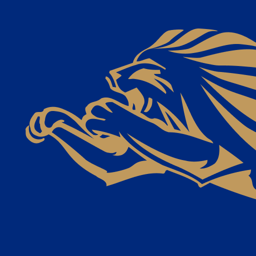 KSI Vendas logo