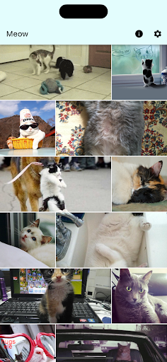 Android application meow screenshort