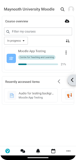 Maynooth University Moodle Screen 2