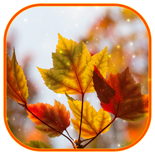 My Image 15