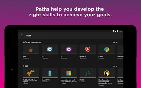 Download pluralsight online offline player