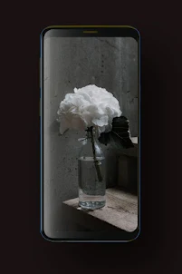 Flower Wallpaper HD, GIF