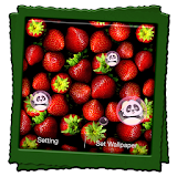 Strawberry Live Wallpaper icon