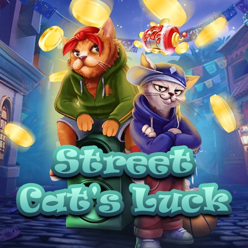Street Cat's Luck