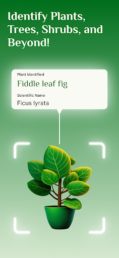 Android application Plant Identifier, Plant Id screenshort