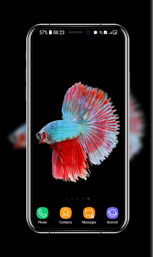Betta Fish Wallpapers