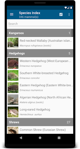 Android application Stuarts European Mammals screenshort