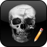 How To Draw Skull icon